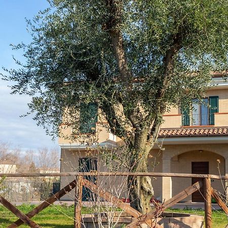 La Merlana Affittacamere Morrovalle 外观 照片