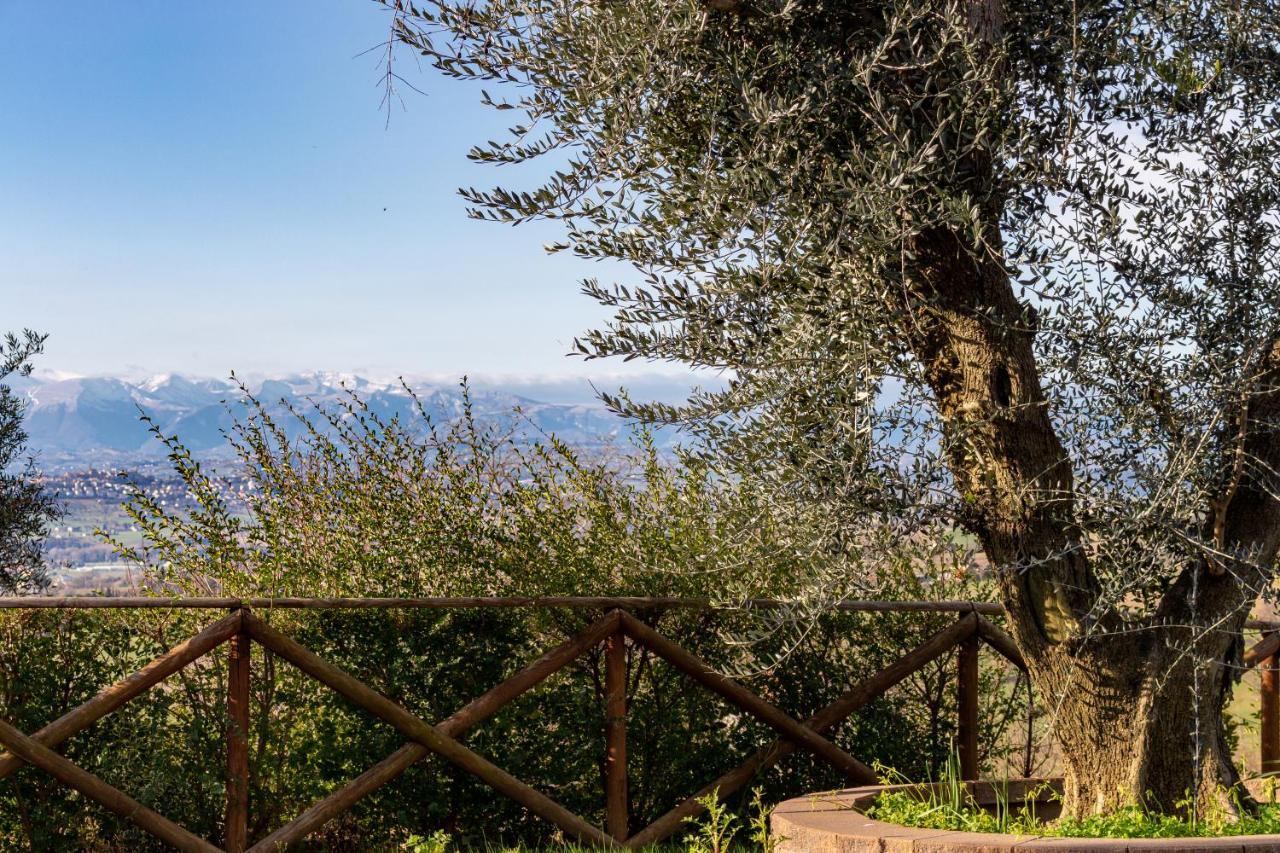 La Merlana Affittacamere Morrovalle 外观 照片